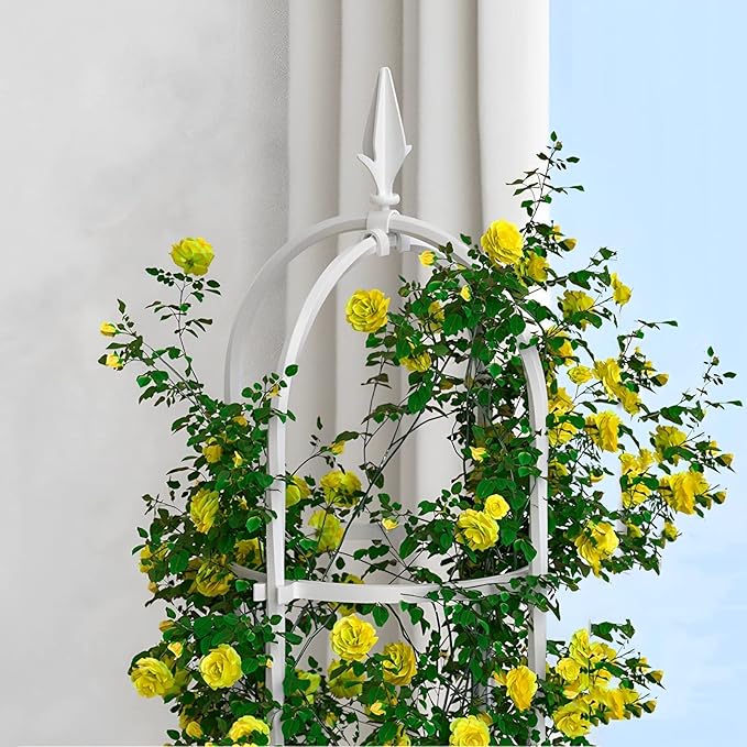 Garden Obelisk Potted Plant Stand Tomato Cage Garden Trellis for Climbing Plants Patio Backyard Flowers Black/White (Color : White Size : 150x35cm)