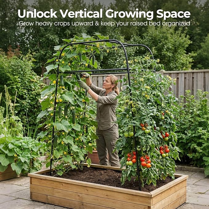 Garden Arch Trellis for Climbing Plants 83 High Metal Cucumber Trellis &amp Tomato Cage Rustproof Steel Tunnel Support for Squash Pumpkin Vegetables with Screw Fixation (32.3 L x 39.4 W)