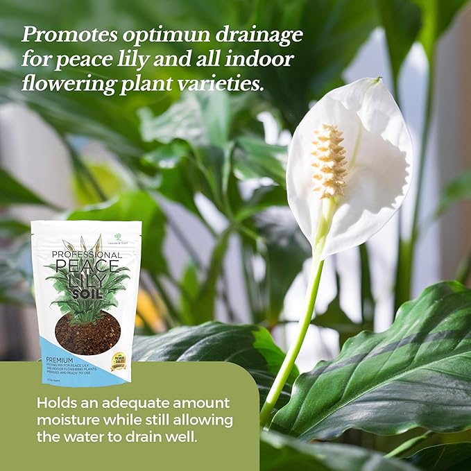 Professional Peace Lily Soil | Large 8.2 Quarts Ready to Use for Peace Lily Plants | Peat Moss Coco Coir Perlite Dolomite | Made in USA