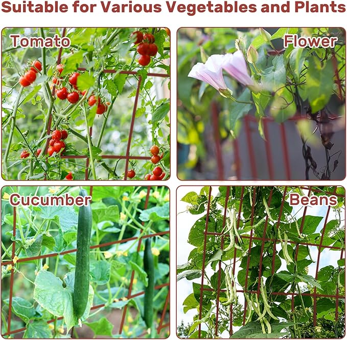 DOEWORKS Cucumber Trellis 48 High Foldable A Frame Garden Trellis 2 Pack Plant Support for Climbing Cucumber Beans Tomatoes Flowers Red