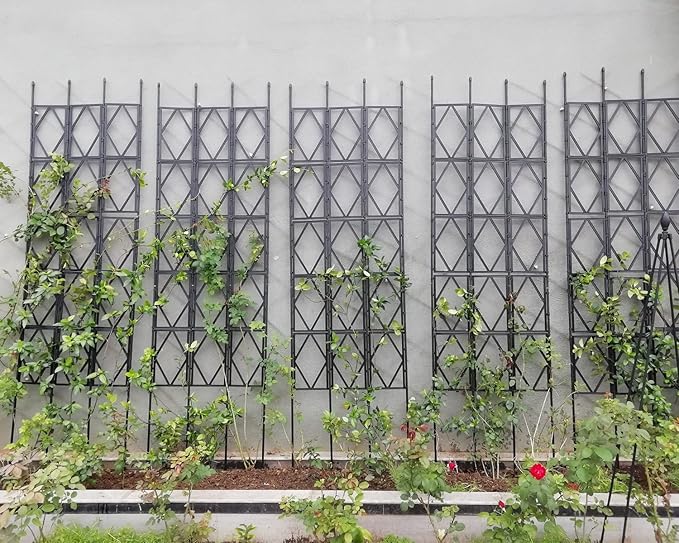 Garden Trellis 60cm/23.5in Width Plant Stands Fence Trellis Weatherproof for Climbing Outdoor Plants Flowers Roses Vegetables (Size : 60x120cm/23.5x47in)