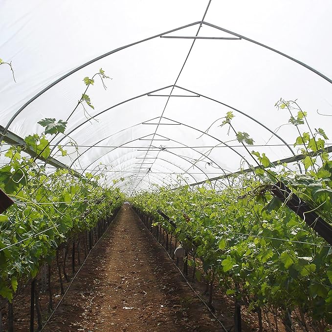 28 ft Wide and 60 ft Long Clear Greenhouse Plastic Sheeting | 6 Mil 4 Year UV Resistant Polyethylene