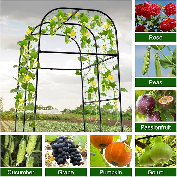 7ft Cucumber Trellis for Raised Bed Garden Arch Trellis for Climbing Plants Outdoor Indoor Metal Trellis Support with Net for Vegetables Tomato Zucchini Squash Beans Peas Melons Rose FlowersVines