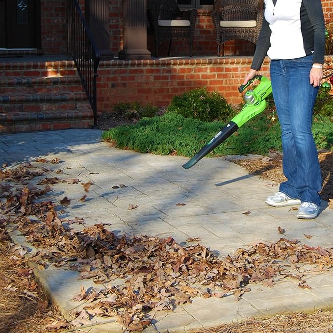 Greenworks 24V Sweeper 2.0Ah Battery and Charger Included