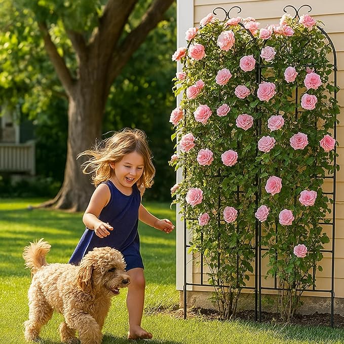 Metal Garden Trellis 2 Pack Metal Trellis for Climbing Plants