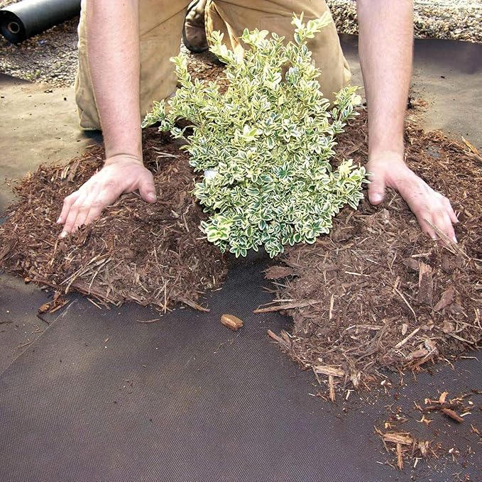 Dewitt 30 Year Professional Weed Control Fabric 3 oz Brown 3 x 100 Feet – Heavy-Duty Landscape Barrier and Ground Cover for Gardens Raised Beds Walkways and Outdoor Landscaping