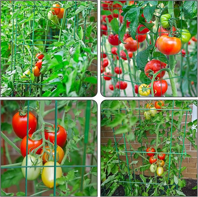 Barbella Tomato Cage 4 Pack Plant Support Cage Square Folding Tomato Cages Garden Plant Support Stake Tower with Clips and Ties Garden Trellis Plant Cage for Vertical Climbing Plants (Green)