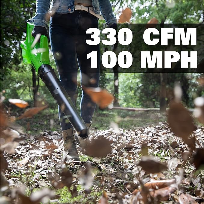 Greenworks 24V Axial Leaf Blower (100 MPH / 330 CFM) 2Ah Battery and Charger Included