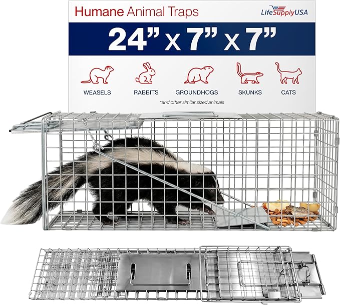 24 Humane Cat Trap for Stray Cats Collapsible Live Animal Cage for Feral Kittens Possum Raccoon Rabbit Armadillo Trap Catch and Release by LifeSupplyUSA