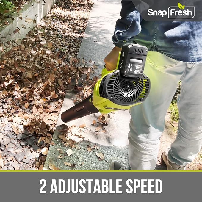SnapFresh Leaf Blower Cordless - 350 CFM Electric Leaf Blower with 4.0Ah Battery &amp Fast Charger - Lightweight &amp 2-Speed - 20V Battery Powered Leaf Blowers for Lawn Care/Yard/Garden/Patio
