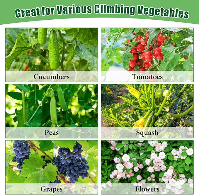 66x65x18 Inch Cucumber Trellis for Raised Bed - with 61 Gallon Grow Bags Garden Trellis for Climbing Plants Outdoor with Climbing Net and Plant Support for Cucumber Tomato Vegetable Grape Vine