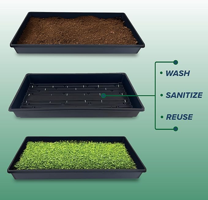 10 Plant Growing Trays (WITH Drain Holes) - 20 x 10 - Perfect Garden Seed Starter Grow Trays: For Seedlings Indoor Gardening Growing Microgreens Wheatgrass &amp More - Soil or Hydroponic