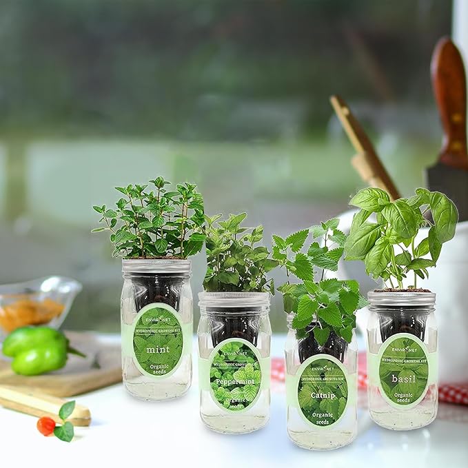 Hydroponic Herb Growing Kit Set Self-Watering Mason Jar Herb Garden Starter Kit Indoor New Christmas Gift for Mom (CatnipPeppermintMint&ampBasil)