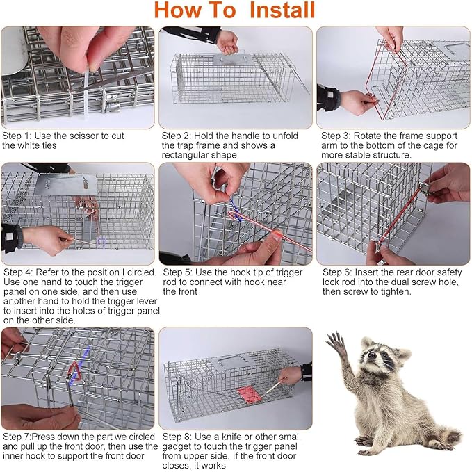 KOCASO Live Animal Cage Trap Collapsible Humane Live Animal Cage Trap Galvanized Steel Humane Live Trap Cage for RabbitStray Cat Groundhog RaccoonSquirrelChipmunkMoleSkunkGopher24x8x8