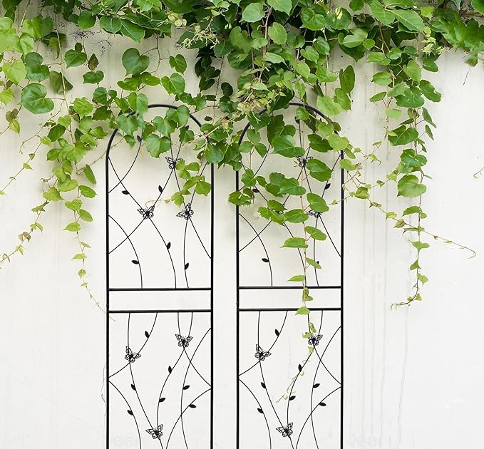 2 Pack Rustproof Metal Trellis for Climbing Plants 71x19.7 Outdoor Garden Support for Vines/Roses/Vegetables French Country Iron Plant Stand for Patio/Wedding Decor (Black2)