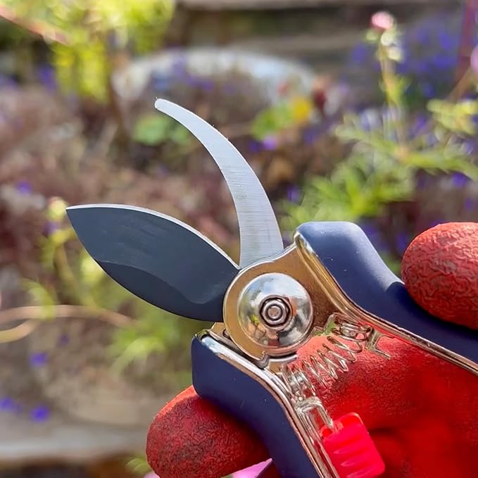 Spear &amp Jackson Razorsharp Mini Pruner Set for Small Garden Tasks and Bonsai Care 2 Piece Precision Compact Lightweight Ergonomic Pruning Shears