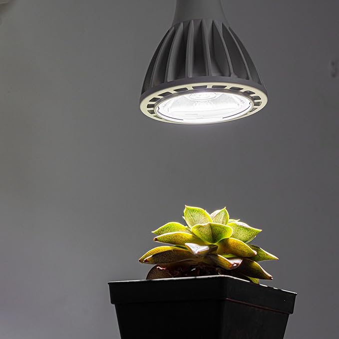 Hook Type Wall Mounted Plant Light Full Spectrum White Light 6000K 25W Bulb Black Vintage Plug in Cord Timing Wall Lamps for Indoor Growing Plants Flowers