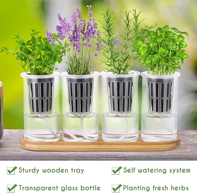 8 Pcs Hydroponic Herb Planter Growing Kit Self Watering Glass Vase with Wooden Stand Herb Garden Starter Kit for Propagating Hydroponic Plants Centerpiece Office Home Garden Decor