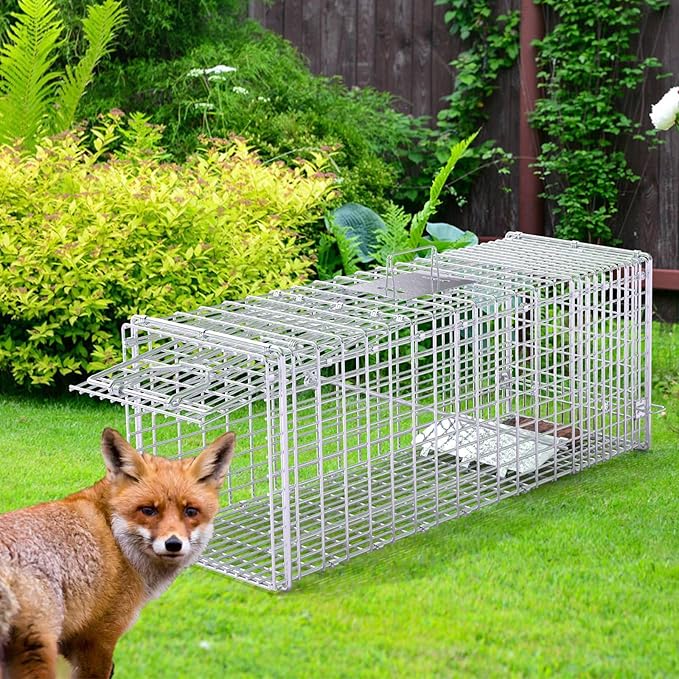 Humane Live Animal Trap 37x14x15inch Large Folding Animal Traps Cage for Raccoons Stray Dogs Armadillos Foxes Coyotes Bobcat Easy to Set &amp Release Live Trap
