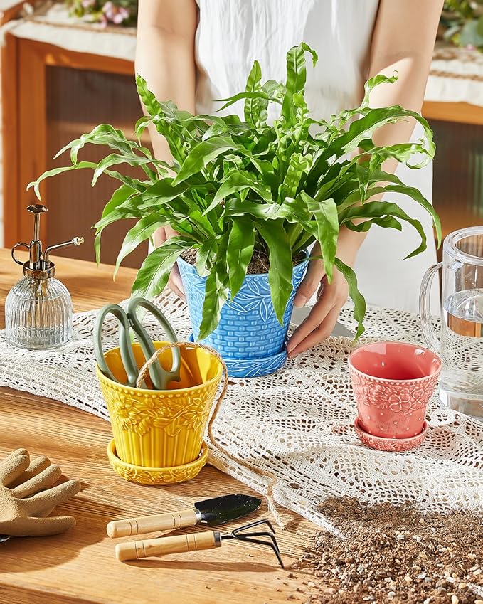 Ceramic Plant Pots 3.8+4.9+5.8 Inch Set of 3 Flower Pots with Drainage Hole &amp Saucer Embossed Planter Pots for House Plants Home Decor Set of 4 Assorted Colors