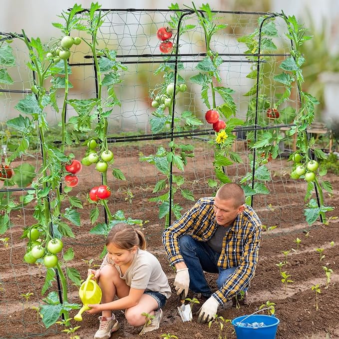 Cucumber Trellis for Raised Bed 5x5ft Metal Garden Trellis Climbing Plants Outdoor Tomato Plant Support Grape Vegetables Squash Bean Pea Cucumber Trellis with Netting Black