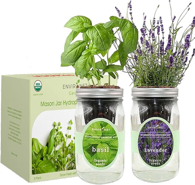2-Pack Hydroponic Mason Jar Herb Garden Kit Indoor Herb Garden Self-Watering Starter Kit (BasilLavender)