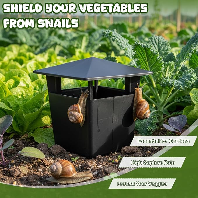 10 Pack Slug Snail Traps for Garden Reusable Beer Bait Snail Catchers with Pentagonal Lid Plastic Slug Houses for Outdoor Garden Vegetable Beds Farm(Black)
