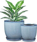 Ceramic Plant Pots 6 Inch + 5 Inch Set of 2 Flower Plants Pot with Drainage Holes and Saucers Tray Blue Planter Garden Pot for Succulent Cactus Home Decoration Gift Indoor Outdoor