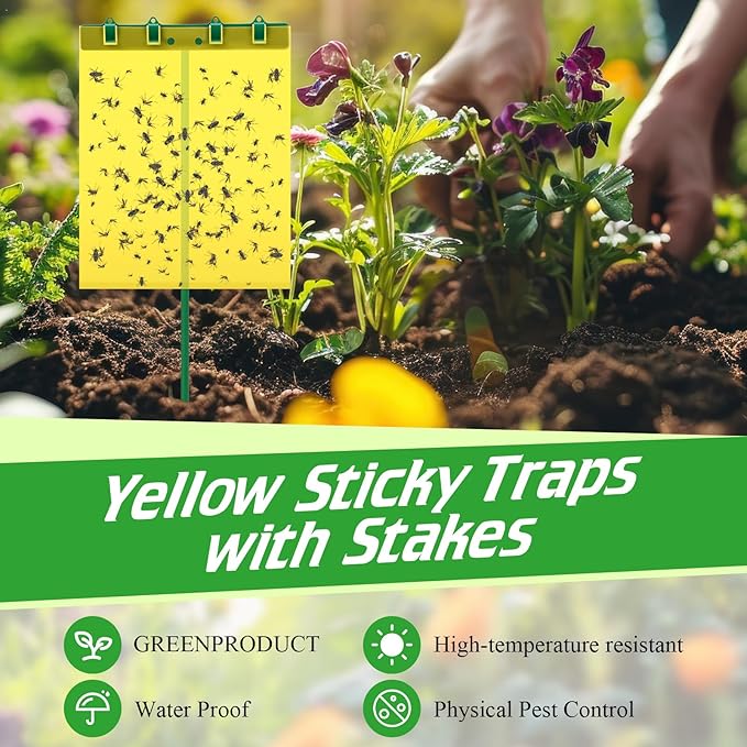 16 Set 7.8x9.8 Dual-Sided Yellow Sticky Traps with Stakes Large Glue Traps for Flying Plant Insect Such as Fungus Gnats Whiteflies Aphids Leafminers etc UV Resistant