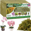 Halatool 5.5LB Green Forest Moss Natural Sphagnum Moss for Plants Fluffy Orchid Moss for Orchids Repotting Dried Plant Moss for Potted Plants Indoor &amp Outdoor