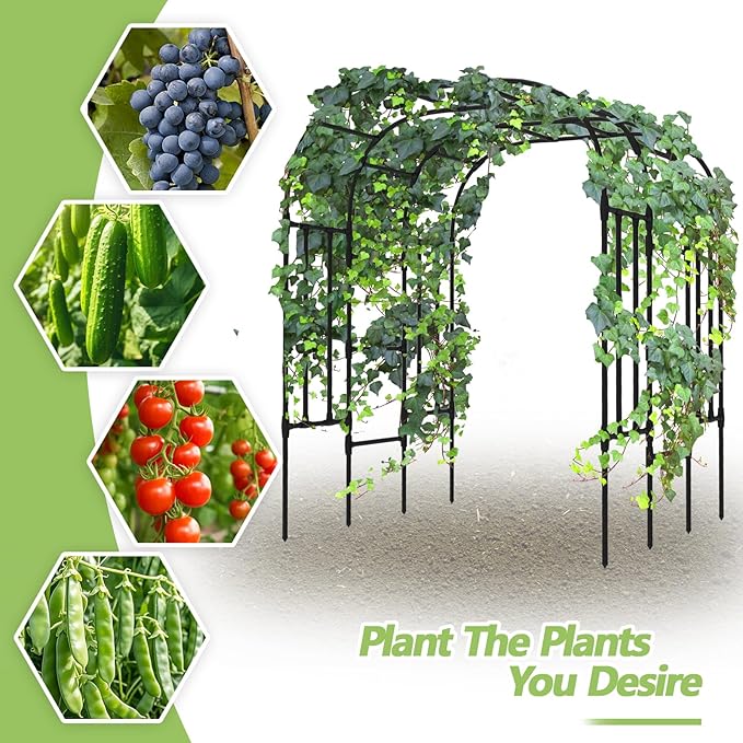 Trellis for Climbing Plants Outdoor - Size of The Grape Vine Trellis: 71 * 69 * 79 inch - Cucumber Trellis for Raised Bed Garden Trellis for Climbing Plants Cucumber Vegetable Tomato