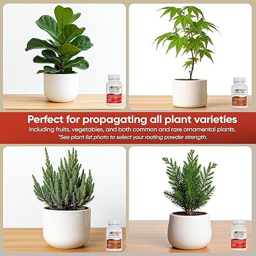 Hormex Rooting Powder #8#16 (0.80-1.60% IBA) for Hardwood Plants Trees &amp Shrubs - High Strength Root Powder Root Stimulator for Plants Rooting Hormone for Cuttings Cloning &amp Propagation