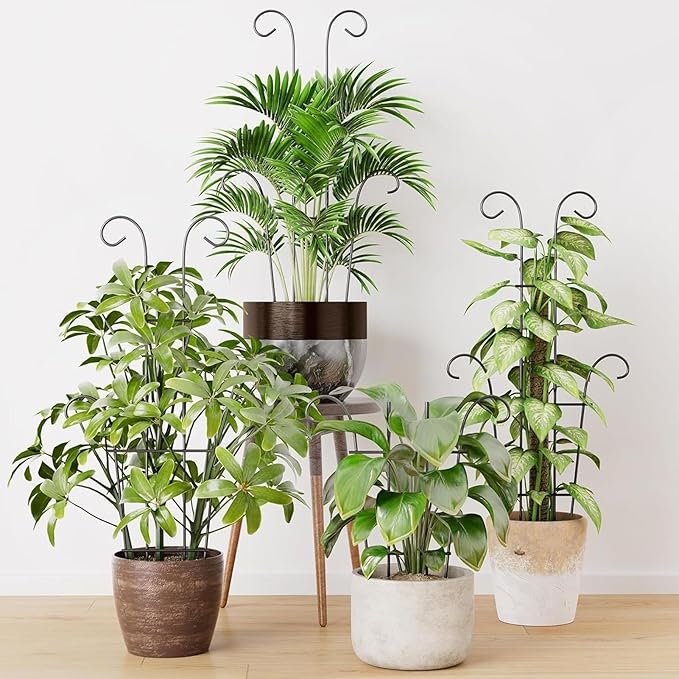 Plant Stand - Rust-Proof Stem Trellis - Garden Trellis for Climbing Plants | for Pothos Ivy Fruit Vegetable Cucumber Bean Flower Pots Planter House