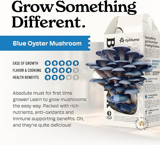 BloomBox Blue Oyster Mushroom Grow Kit – Ready to Fruit Indoor Gardening Gift – Organic Spawn Log for Fresh Fungi in 10 Days – Unique DIY STEM Science Project for Kids &amp Adults – Vegan Meat Substi