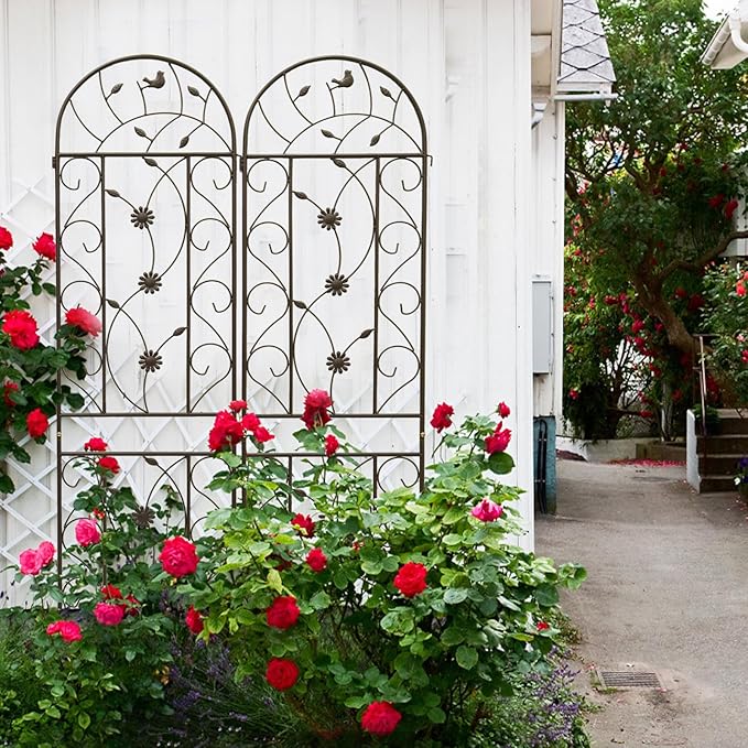 Metal Garden Trellis for Climbing Plants: Galvanized Steel Arch Design with Powder Coating - Modern Vertical Plant Support for Outdoor Spaces &amp Patio Decor