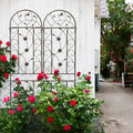 Metal 2 Pack Trellis for Climbing Plants Outdoor 7 FT Tall Galvanized Steel Garden Trellis for Patio Lawn Wall Decor Plant Trellis for Vine Cucumber Tomato Flower Clematis Roses-Bird (Brown)