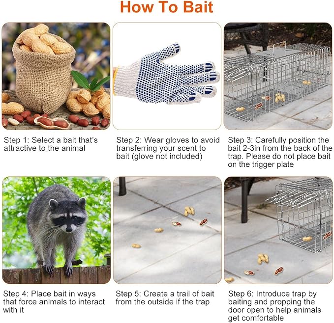 KOCASO Live Animal Cage Trap Collapsible Humane Live Animal Cage Trap Galvanized Steel Humane Live Trap Cage for RabbitStray Cat Groundhog RaccoonSquirrelChipmunkMoleSkunkGopher24x8x8