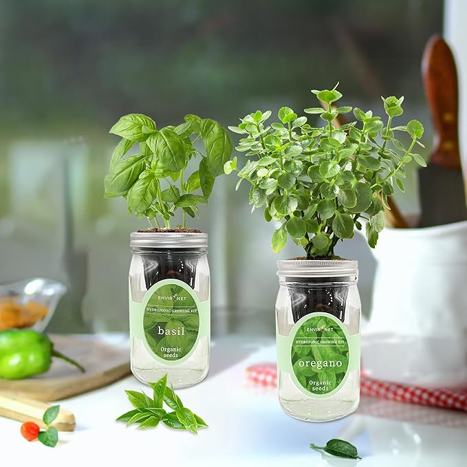 2-Pack Hydroponic Mason Jar Herb Garden Kit Indoor Herb Garden Self-Watering Starter Kit (BasilOregano)