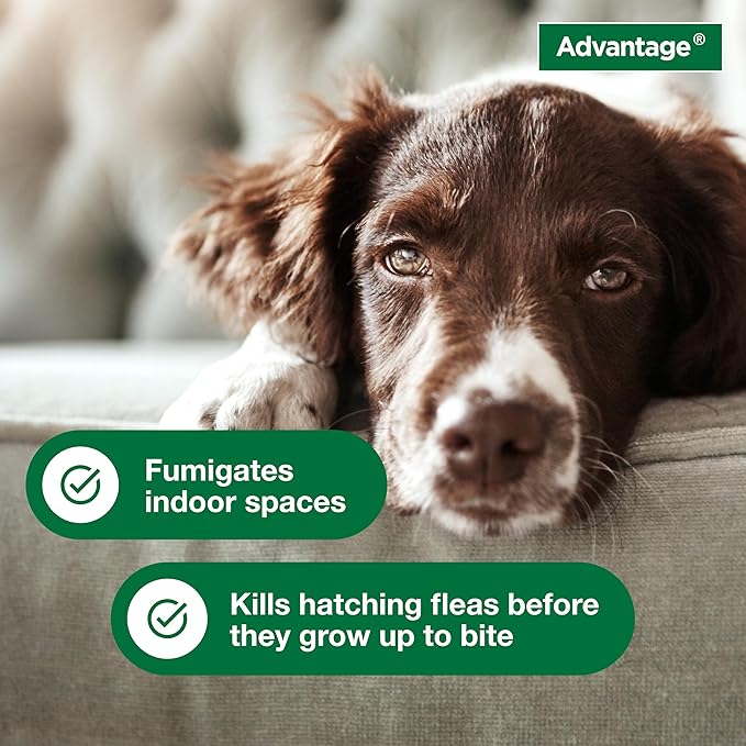 Advantage Household Fogger | Kills Fleas &amp Ticks | Flea Fogger for Home | 2 oz. Canisters (Pack of 3)