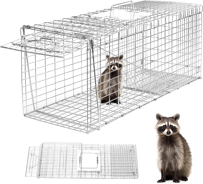 Animal Trap 32x10x12 Cage Trap Heavy Duty Folding Raccoon Traps Humane Cat Trap for Stray CatsRabbitsSquirrelsOutdoor Small Animal TrapHumane Catch &amp Release