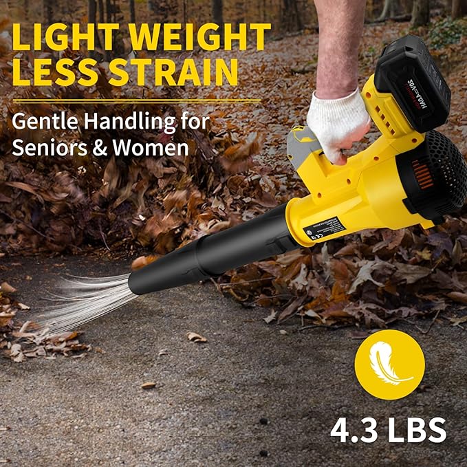 Leaf Blower Cordless 6 Speed Levels Electric Leaf Blower with 2 x 4.0Ah Batteries and Charger 580CFM &amp 160MPH 4.3 lbs Lightweight for Lawn Care Yard Garage Blowing Leaves Dust or Snow