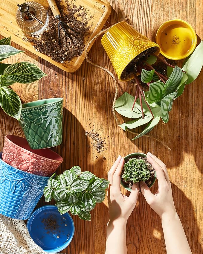Succulent Ceramic Pots 3.8 Inch Small Plant Pots with Drainage Hole &amp Saucer Flower Planter Pot for House Plants Cacti Home Decor Set of 4 Assorted Colors