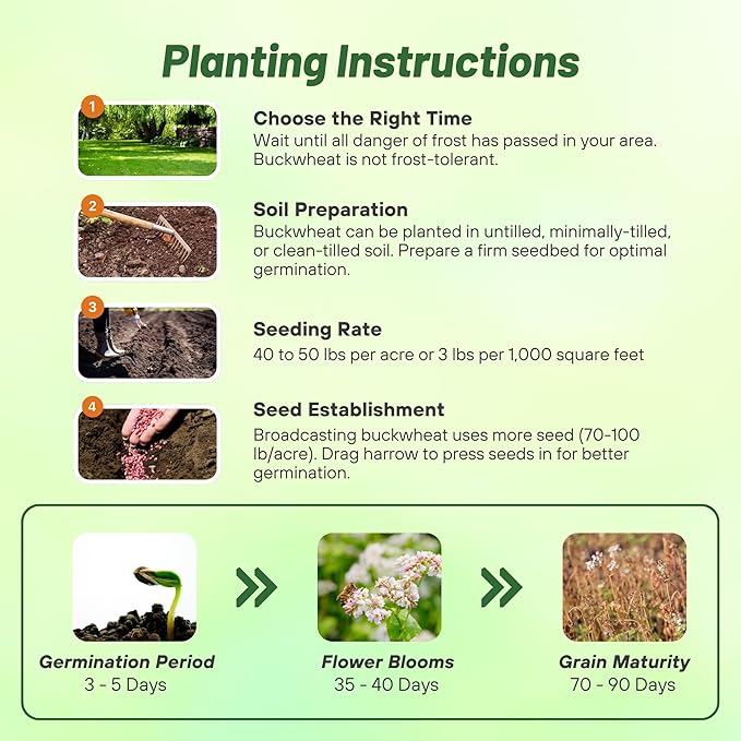 Outsidepride Buckwheat Seeds - 10lbs Annual Fast-Growing Easy to Grow Buckwheat Cover Crop Seeds for Green Manure Bee Pasture &amp Pollinators Wildlife Habitat Soil Improvement and Erosion Cont