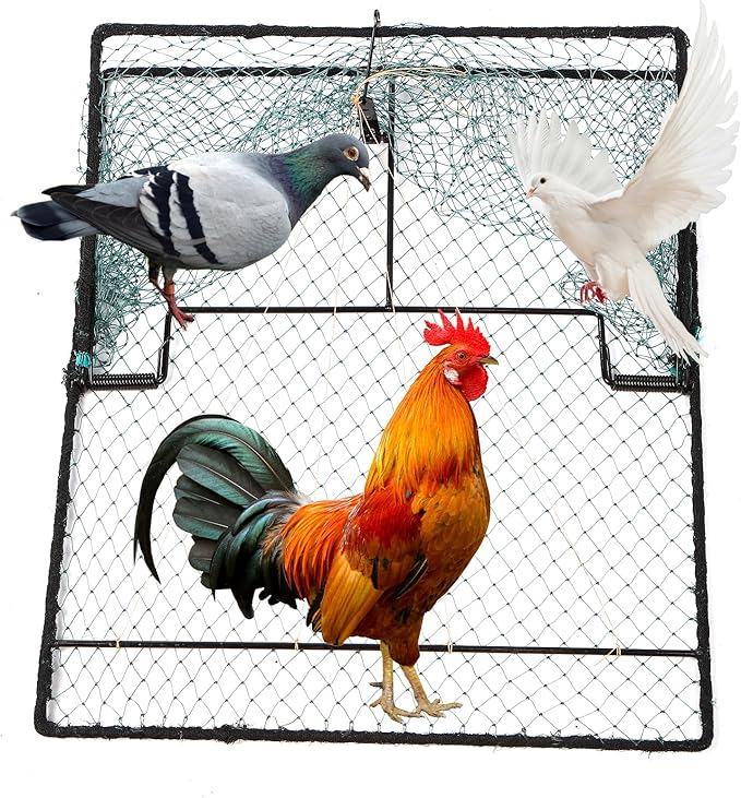 Humane Pigeon TrapBird Trap for QuailTurkeyNet Traps (19.7x23.6 inch)