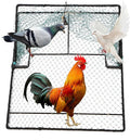 Humane Pigeon TrapBird Trap for QuailTurkeyNet Traps (19.7x23.6 inch)