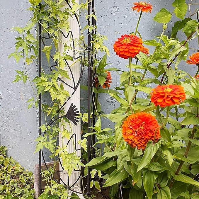 Downspout Trellis for Garden Flowers Heavy Wrought Iron Scroll Metal Support for Outdoor and Indoor Plants Wall Accent Perfect for Guiding Climbing Vines and Enhancing Vertical Landscaping