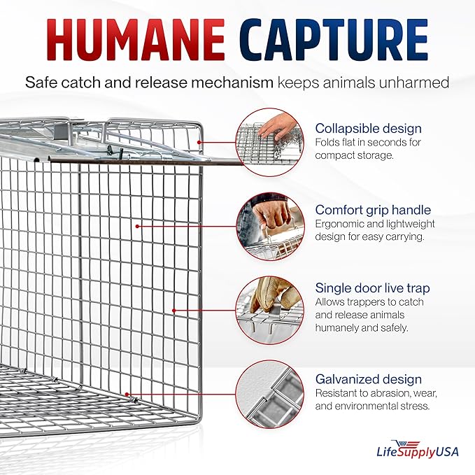 24 Humane Cat Trap for Stray Cats Collapsible Live Animal Cage for Feral Kittens Possum Raccoon Rabbit Armadillo Trap Catch and Release by LifeSupplyUSA