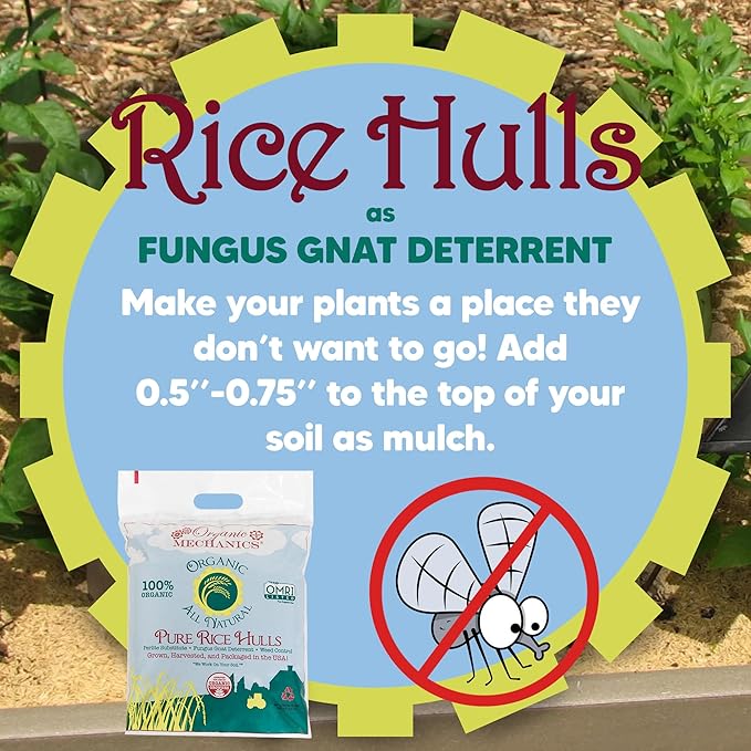 Organic Mechanics Pure Rice Hulls 8 qt (Pack of 2) - Sustainable Alternative to Perlite - Enhances Drainage Porosity and Air Space - Eco-Friendly