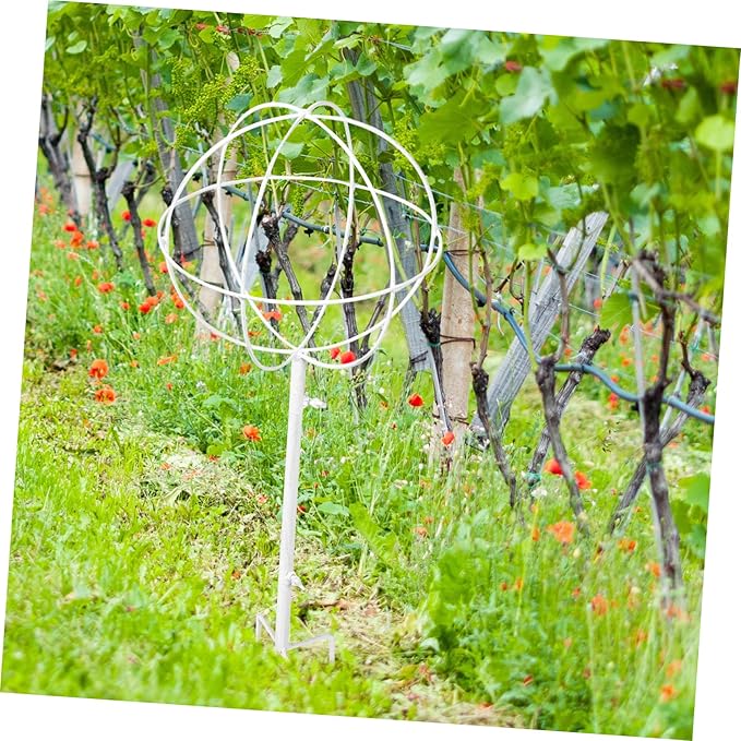 Garden Trellis Plant Sticks Support Iron Bracket for Vine Plant Climbing