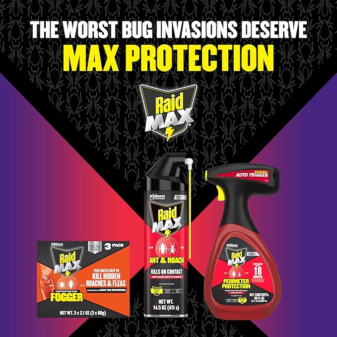 Raid Max Fogger Insect Killer for Mosquito Ant Roach Spider Flea for Indoor Use 2.1 oz 3 Count (Pack of 1)